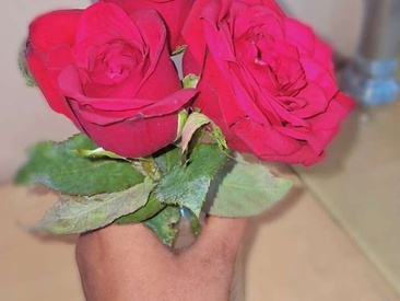 Recent Screen Shot of telugupilla0925