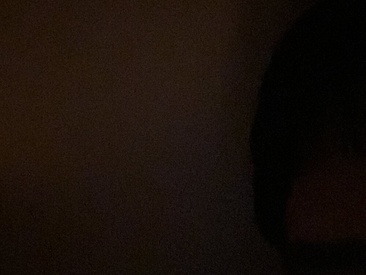 Recent Screen Shot of wendulbul