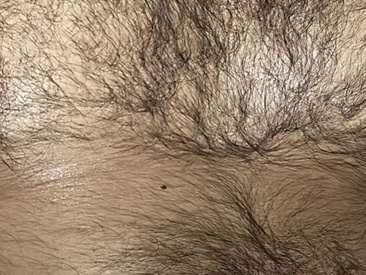 Recent Screen Shot of xavierkevi